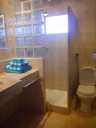 a bathroom with a toilet and a shower and a sink at Windmill Hill in Cercal
