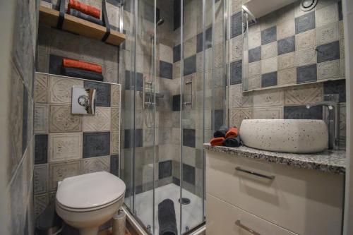 une salle de bain avec toilettes et douche dans l'établissement T1 PRESTIGE PARIS MONTMARTRE, à Paris