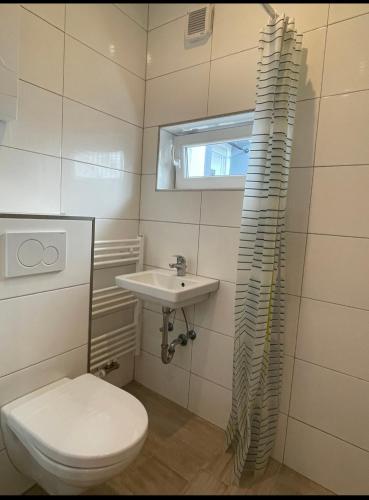 Phòng tắm tại Studio Apartment Zentrum Rüsselsheim