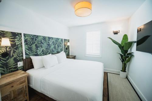 a bedroom with a white bed and a potted plant at Marsh Hotel in New Orleans
