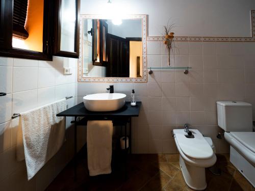 bagno con lavandino, servizi igienici e specchio di Fabulosa, Casa Mudéjar. Centro Histórico. a Carmona