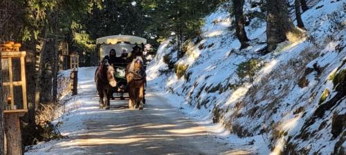 a horse drawn carriage on a snow covered road at Ferienwohnung Pirker in Spittal an der Drau