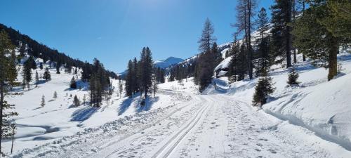 a snow covered road with trees on a mountain at Ferienwohnung Pirker in Spittal an der Drau