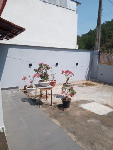un groupe de plantes en pot assises sur un patio dans l'établissement Rosa do deserto, à Jerônimo Monteiro