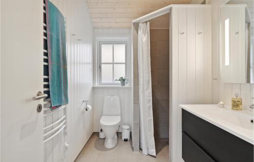 La salle de bains blanche est pourvue de toilettes et d'un lavabo. dans l'établissement Awesome Home In Grsted With Wifi, à Græsted