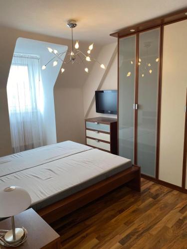 リンツにあるMontel PARK - Linz Danube Riverのベッドルーム(ベッド1台、テレビ付)