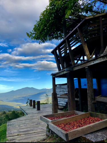 a wooden deck with a bunch of red berries on it at El Refugio La Brisa del Diablo in Valle Hornito