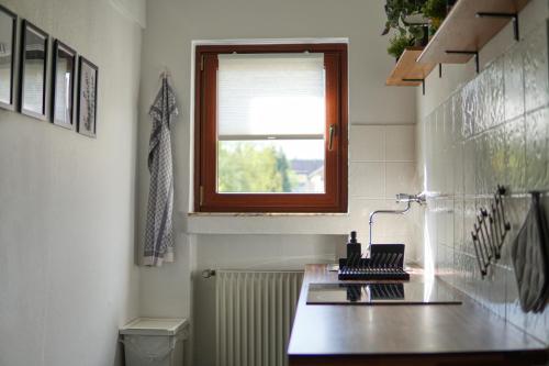 een keuken met een wastafel, een raam en een radiator bij Homefy Family Apartment mit Netflix in Essen