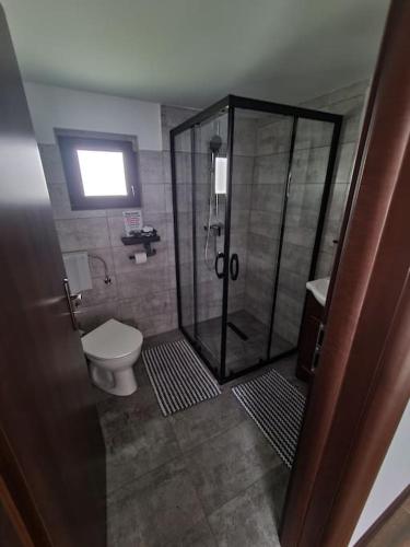 a bathroom with a shower and a toilet at Cabana Bujor de Munte in Râşnov