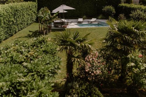 un jardin avec une piscine, un parasol et des palmiers dans l'établissement Chez Anne et Grégoire, à Voglans