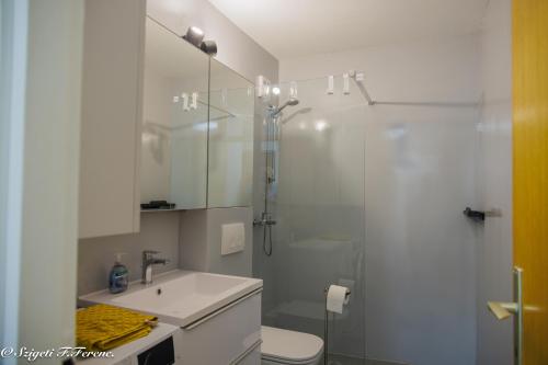 een badkamer met douche, toilet en wastafel bij Apartment Sleeps 4 with Free Parking in Rijeka