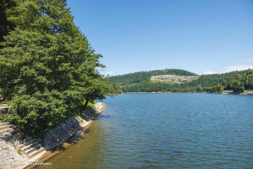 a view of a lake with trees on the shore at Beautiful 1-Bed Apartment in Fuzine with lake view in Fužine