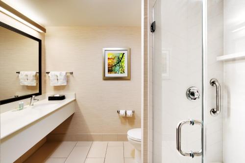 a bathroom with a toilet and a sink and a shower at Fairfield Inn by Marriott Lexington Park Patuxent River Naval Air Station in Lexington Park