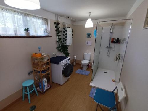 a small bathroom with a shower and a toilet at Morada do Ultramar in Viana do Castelo