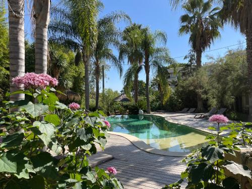 a swimming pool with palm trees and pink flowers at Cannes Villa St Barth in Cannes