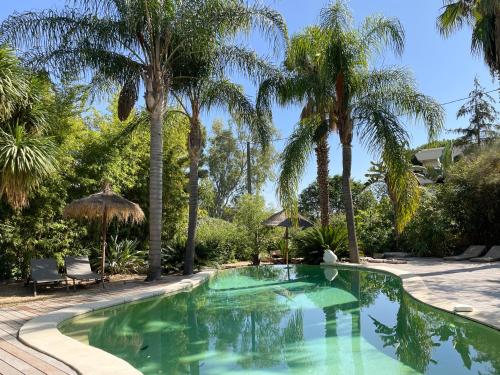 Cannes Villa St Barth photo 31