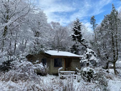 a log cabin with snow on it in the woods at Woodland Cabins, Glencoe in Ballachulish