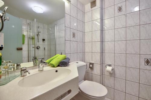 W łazience znajduje się toaleta, umywalka i lustro. w obiekcie Hotel Estricher Hof w Trewirze
