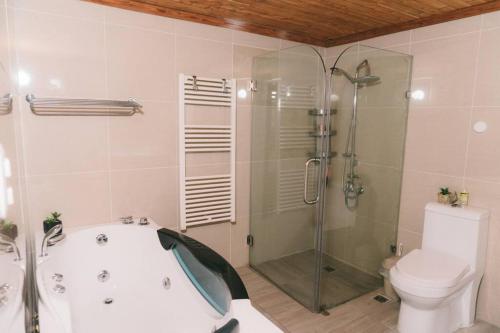 a bathroom with a tub and a toilet and a shower at Beachfront 3Bedroom with Pool in Santo Domingo