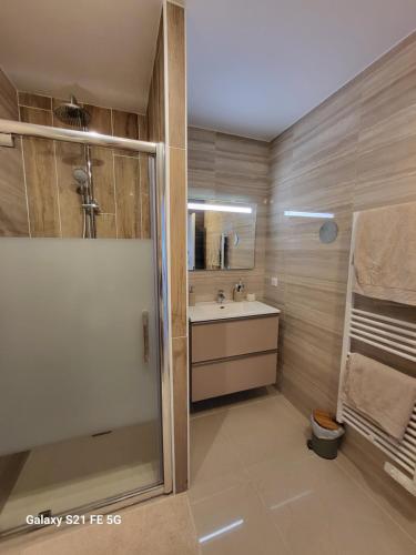 une salle de bain avec une douche, un lavabo et un miroir dans l'établissement Appartement de standing bord de mer, à Pietrosella