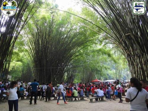 Une foule de gens marchant sous une arche d'arbres dans l'établissement Hotel Mango Cafe, à Tela
