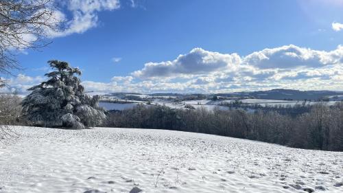 a snow covered hill with a pine tree on it at Les Juliannes - Gîte La Pierre Etoilée Piscine Jardin in Paulinet