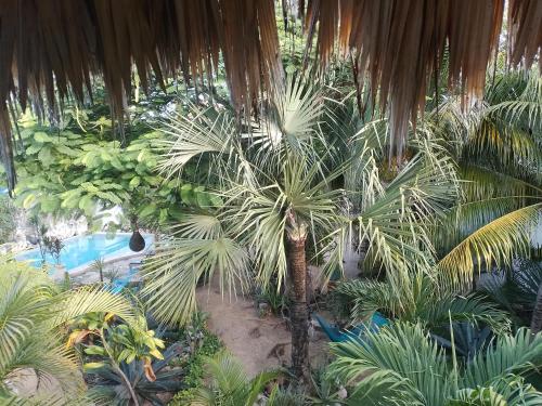 Κήπος έξω από το Zamunda Garden View