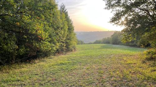 a grassy field with trees in the distance at Les Juliannes - Gîte La Pierre Etoilée Piscine Jardin in Paulinet