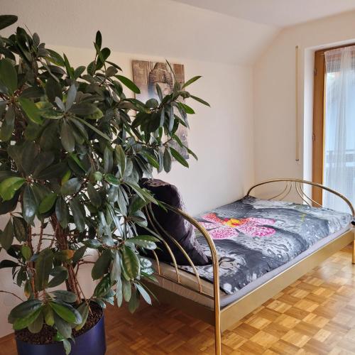 ein Schlafzimmer mit einem Bett und einer Topfpflanze in der Unterkunft Appartement im Schwarzwaldhaus in Hüfingen