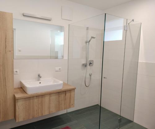 a bathroom with a sink and a glass shower at Haus am Brunnen in Prato allo Stelvio