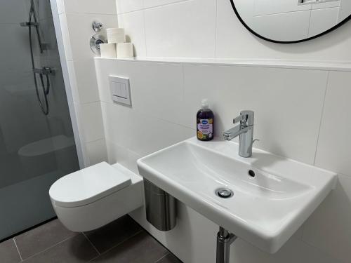 La salle de bains est pourvue d'un lavabo, de toilettes et d'un miroir. dans l'établissement Ferienwohnung in Center of Hamburg-Barmbek-Airport-4, à Hambourg