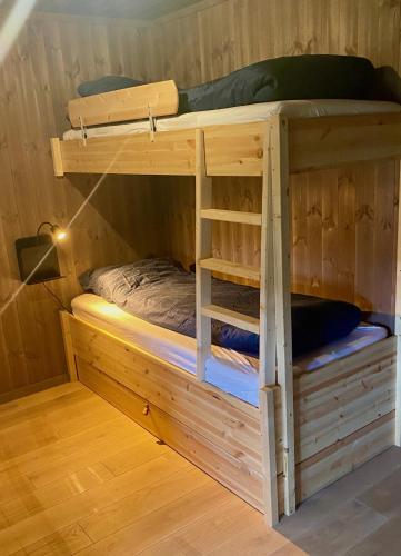 a bunk bed in a log cabin with a ladder at Budalstølen-ny og flott hytte-sentral beliggenhet in Geilo