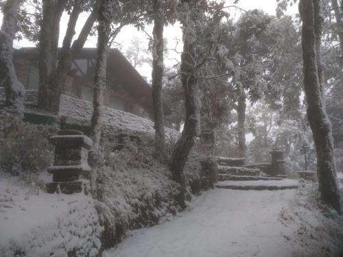 a snow covered yard with trees and a house at Nine Furlongs, Binsar Wildlife Sanctuary in Almora