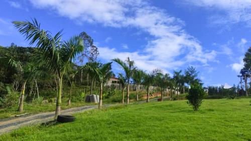 een veld met palmbomen en een onverharde weg bij Lindo chalé no alto da colina, vista paradisíaca do por do sol, proximo a praia e cachoeiras in Pariqueraçu