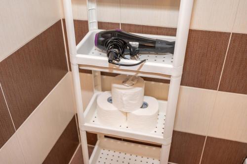 a shelf in a bathroom with a hair dryer at All Seasons Apartments Iglika 2 in Borovets