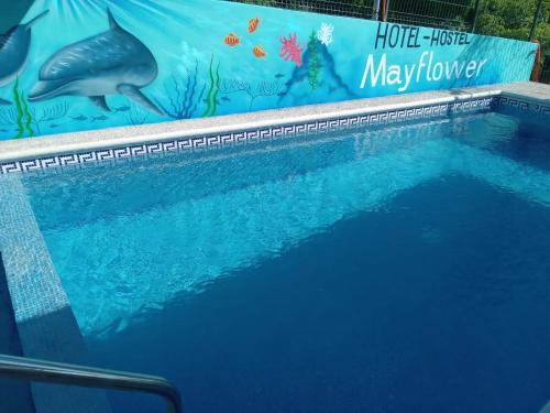 a swimming pool with a mural of a dolphin at MayFlower Hotel & Hostal in Puerto Escondido