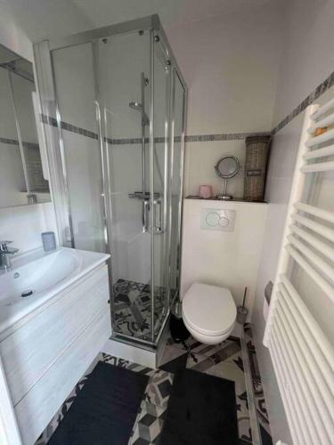 une salle de bain avec une douche, des toilettes et un lavabo dans l'établissement Ravissante maison de pêcheurs Trouville proche centre et gare, à Trouville-sur-Mer