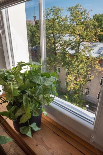 Balkón nebo terasa v ubytování Apartament Ziemowita