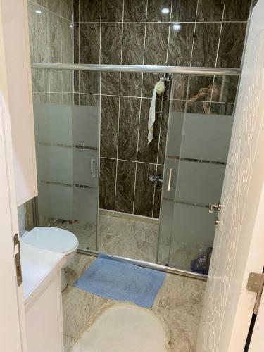 a bathroom with a shower and a toilet at Luxury Flat / Lux Daire Cizre in Jesıret ibn Omar