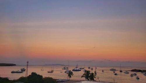 a group of boats in the water at sunset at Casa Ocean Pier in Puerto Ayora
