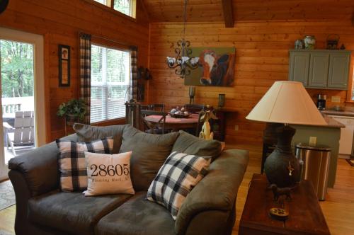 a living room with a couch and a table at Moss Haven Cabin - Peaceful Blowing Rock Getaway in Blowing Rock