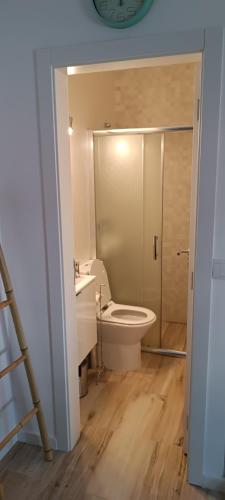 a bathroom with a toilet and a sink and a shower at Casinha2 in Amieira