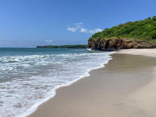 a sandy beach with the ocean on a clear day at Luxurious Private Beach Getaway in Punta Mita