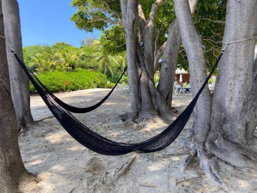 a hammock hanging between trees on a beach at Luxurious Private Beach Getaway in Punta Mita