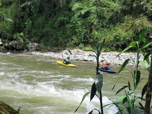 two people in kayaks on a river in the jungle at Cabanas Armonia in Cotundo