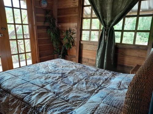 1 dormitorio con 1 cama en una habitación con ventanas en Cabanas Armonia, en Cotundo