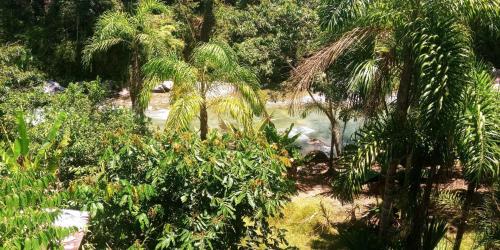 an aerial view of a tropical forest with palm trees at Cabanas Armonia in Cotundo