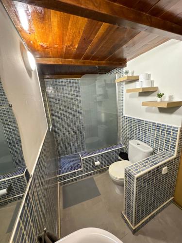 a bathroom with a toilet and a shower at Apartamentos Berruguete in Madrid