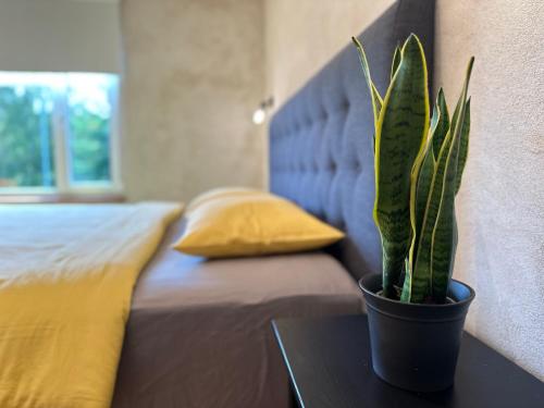 Ένα ή περισσότερα κρεβάτια σε δωμάτιο στο Magical two bedroom apartment in Viljandi
