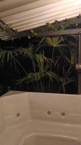 a bathroom with a bath tub with plants on the wall at Cabaña El Mirador - La Mesa in La Mesa